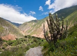 Not cut out for Colca Canyon