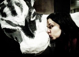 girl kissing cow