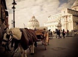 pisa