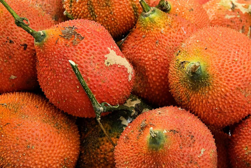 Red durian in Vietnam at a market