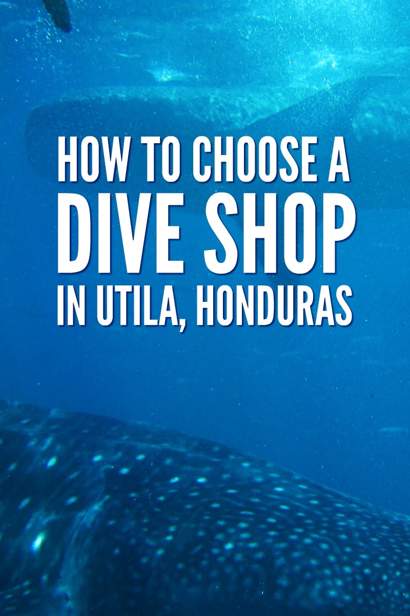 Utila dive centre: Find out what questions you need to ask to find the best one. They aren't all the same, learn from an expert.