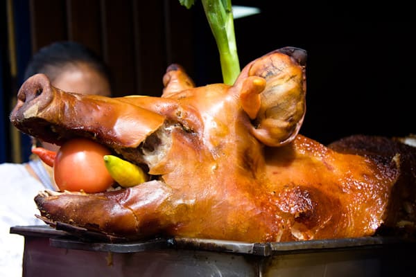 roasted pig head