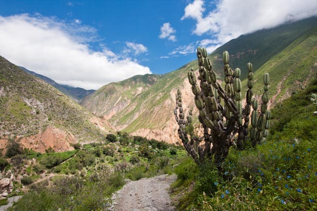 Colca Canyon Peru