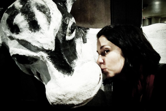 girl kissing cow