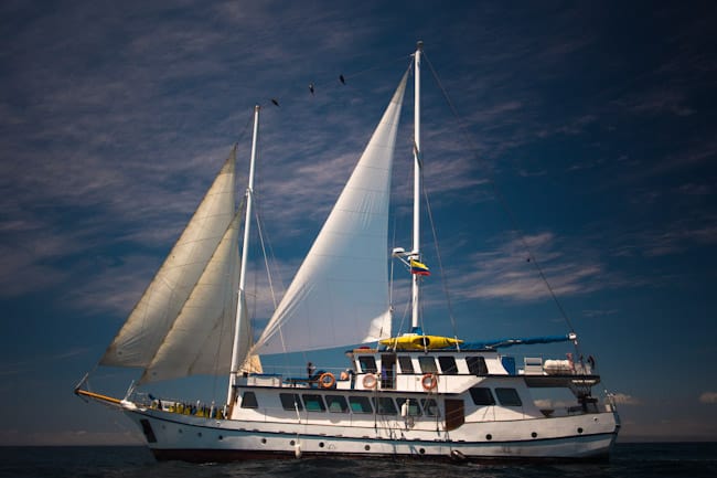 My Galapagos Cruise Adventure - Bacon is Magic