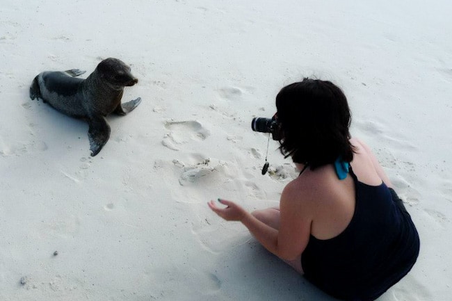 ayngelina and the baby sea lion