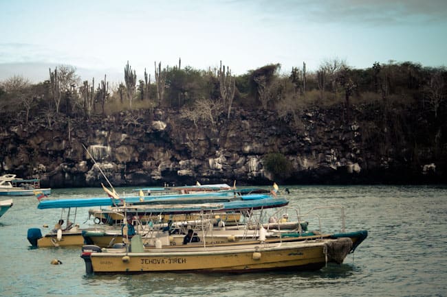 puerto ayora