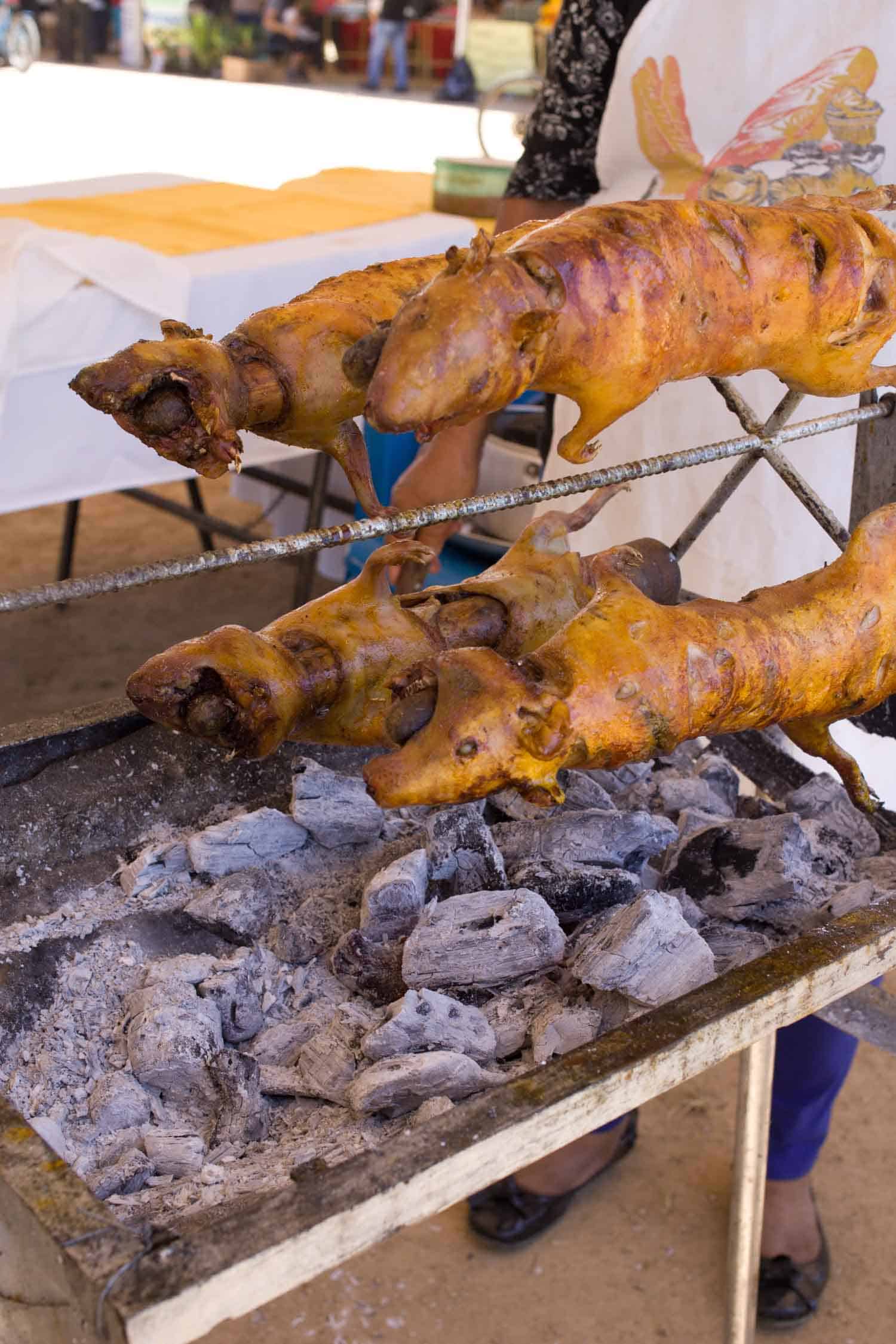 Roasted Cuy at Ecuadorian food festival Guinea Pig