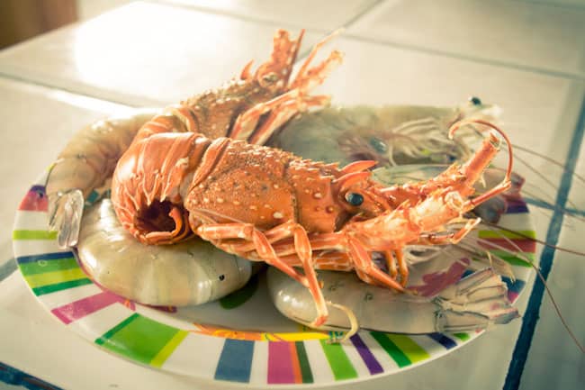 ceviche ceviche