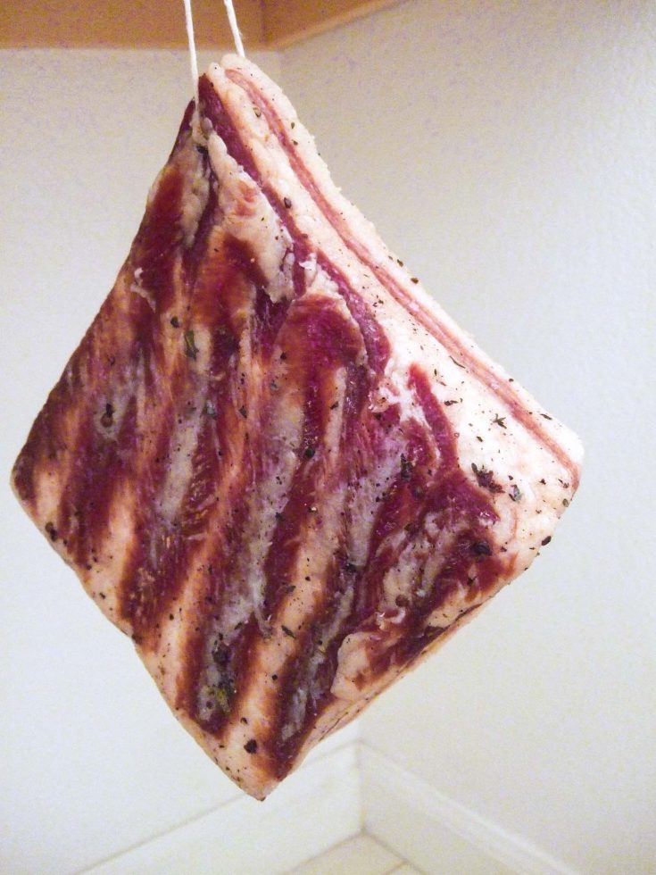 How to Make Pancetta at Home (+VIDEO) Bacon is Magic