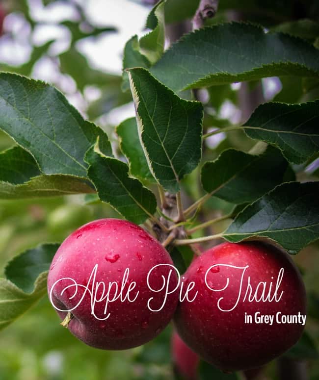 apple pie trail