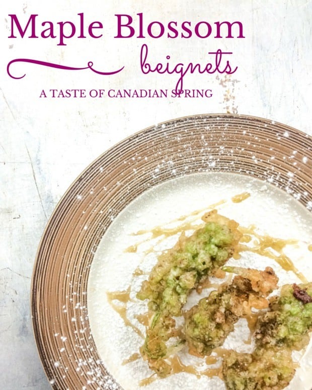 maple blossom beignet recipe It's the first sign of spring! This maple blossom beignet recipe is easy to make. Impress your friends by foraging maple blossoms, dipping them in fritter batter and tossing with sugar and smoked maple syrup.