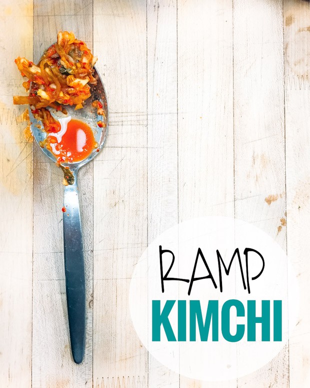 Easy ramp kimchi recipe also known as ramp-chi. This spin on a traditional kimchi recipe is so easy to make and makes great use of foraged ramps.