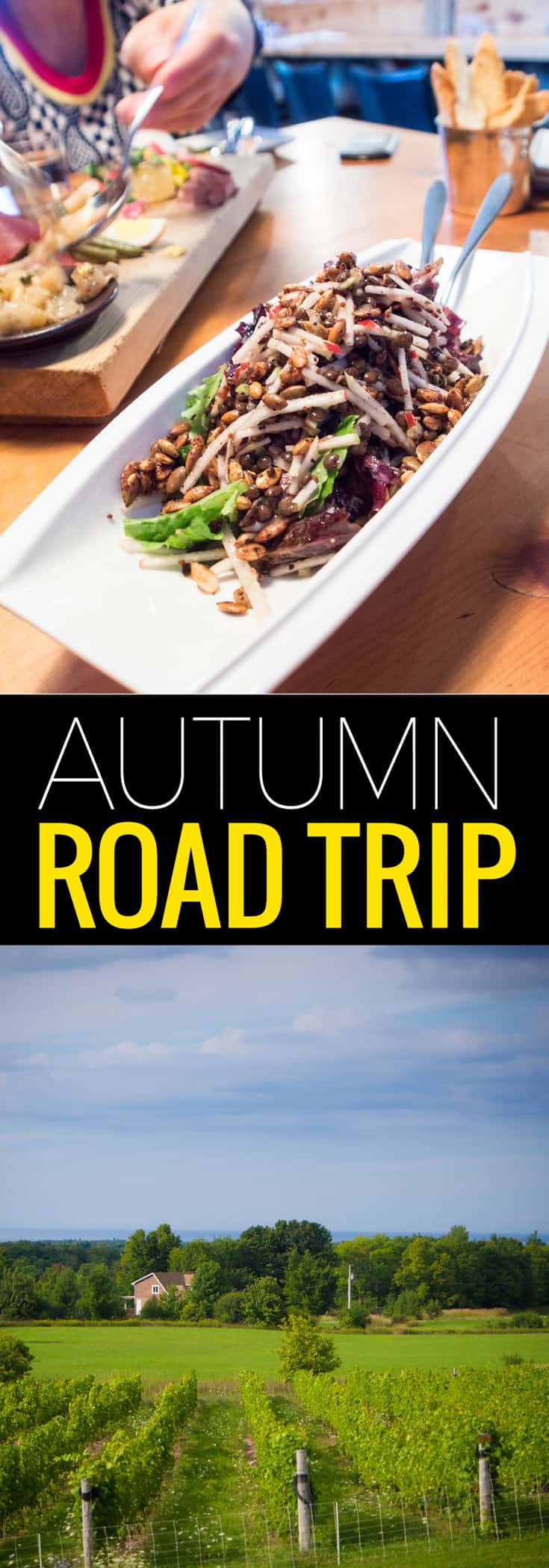 Plan the ultimate road trip with an autumn colors tour in Grey County.