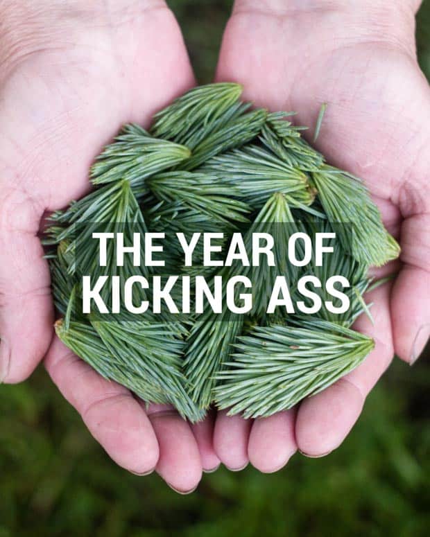 Each year I set a theme that guides the decisions I make for the year and helps me stay on track.This year it's all about kicking ass.