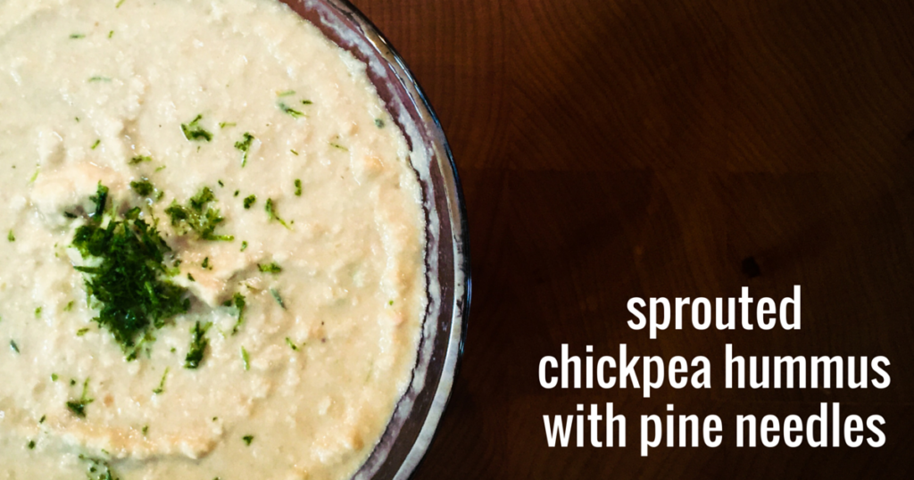Sprouted chickpea hummus with pine needles