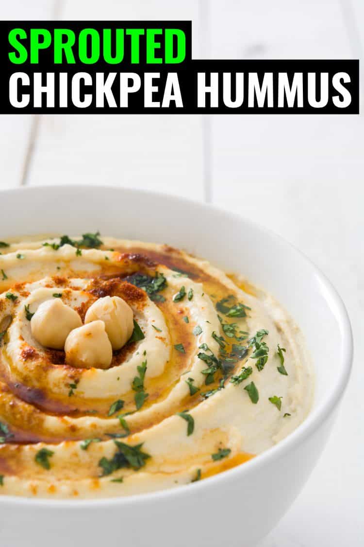 Sprouted Chickpea Hummus with Pine Needle