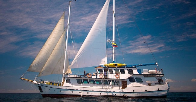 Tips on finding the perfect Galapagos cruise. What to look for and how much you should pay.