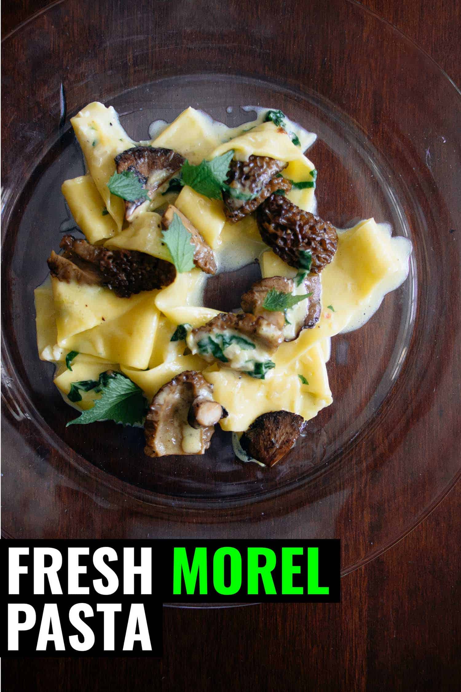 Morel mushroom pasta on a clear plate.