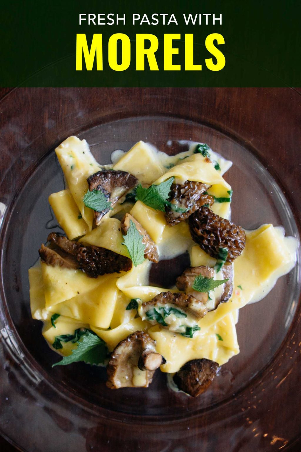 Easy Morel Pasta Wild Mushroom Foraging Bacon is Magic