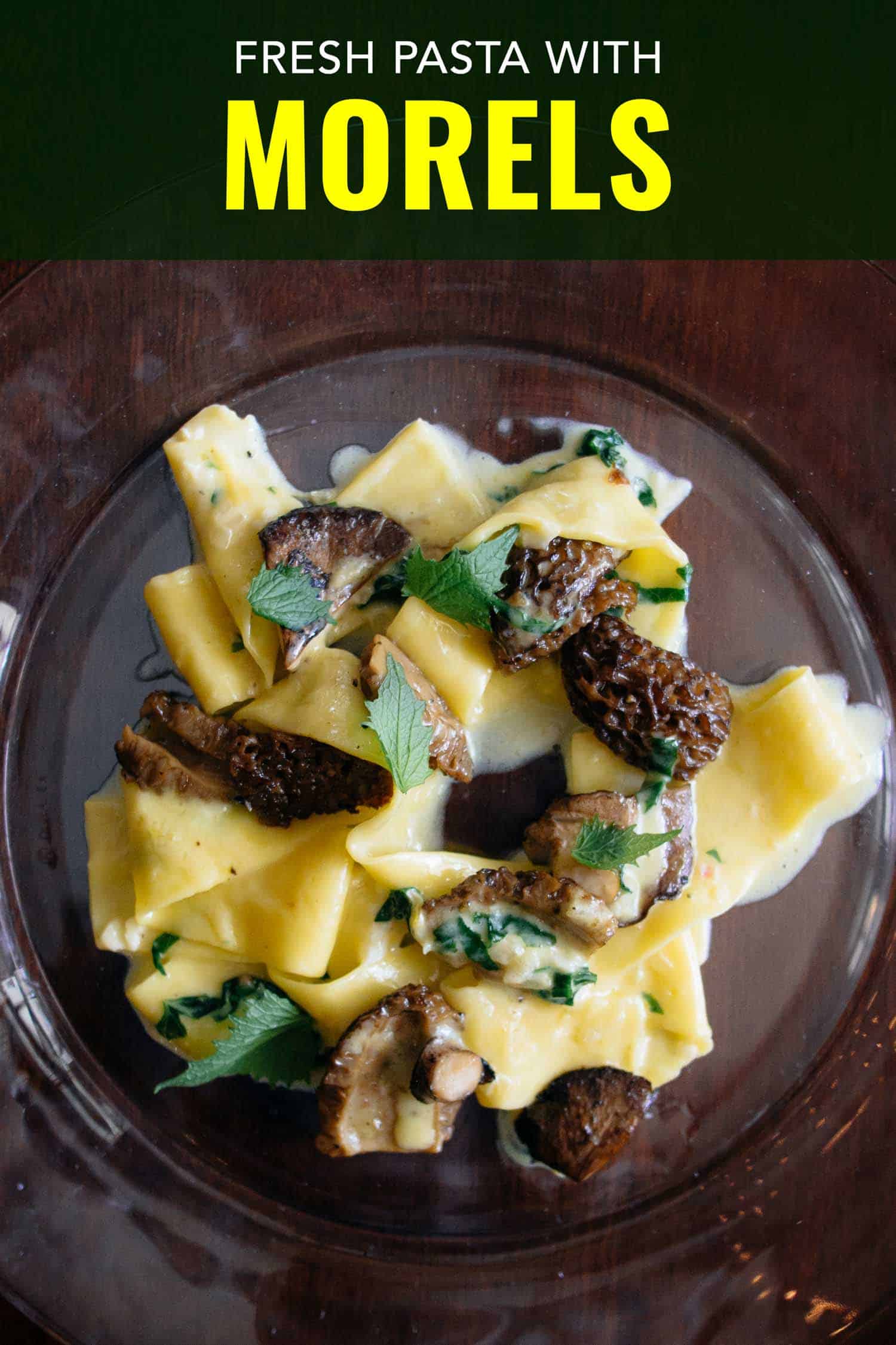 Fresh pappardelle pasta with morel mushrooms on a glass plate.