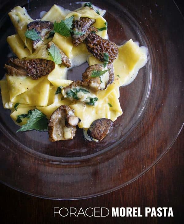 morel pasta Easy morel pasta in only 10 minutes. We capped off the day foraging mushrooms in Grey County making this easy but decadent morel pappardelle.