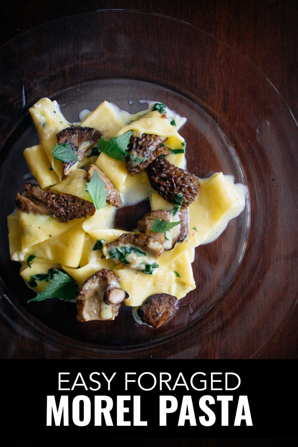 Easy Morel Pasta Wild Mushroom Foraging Bacon is Magic