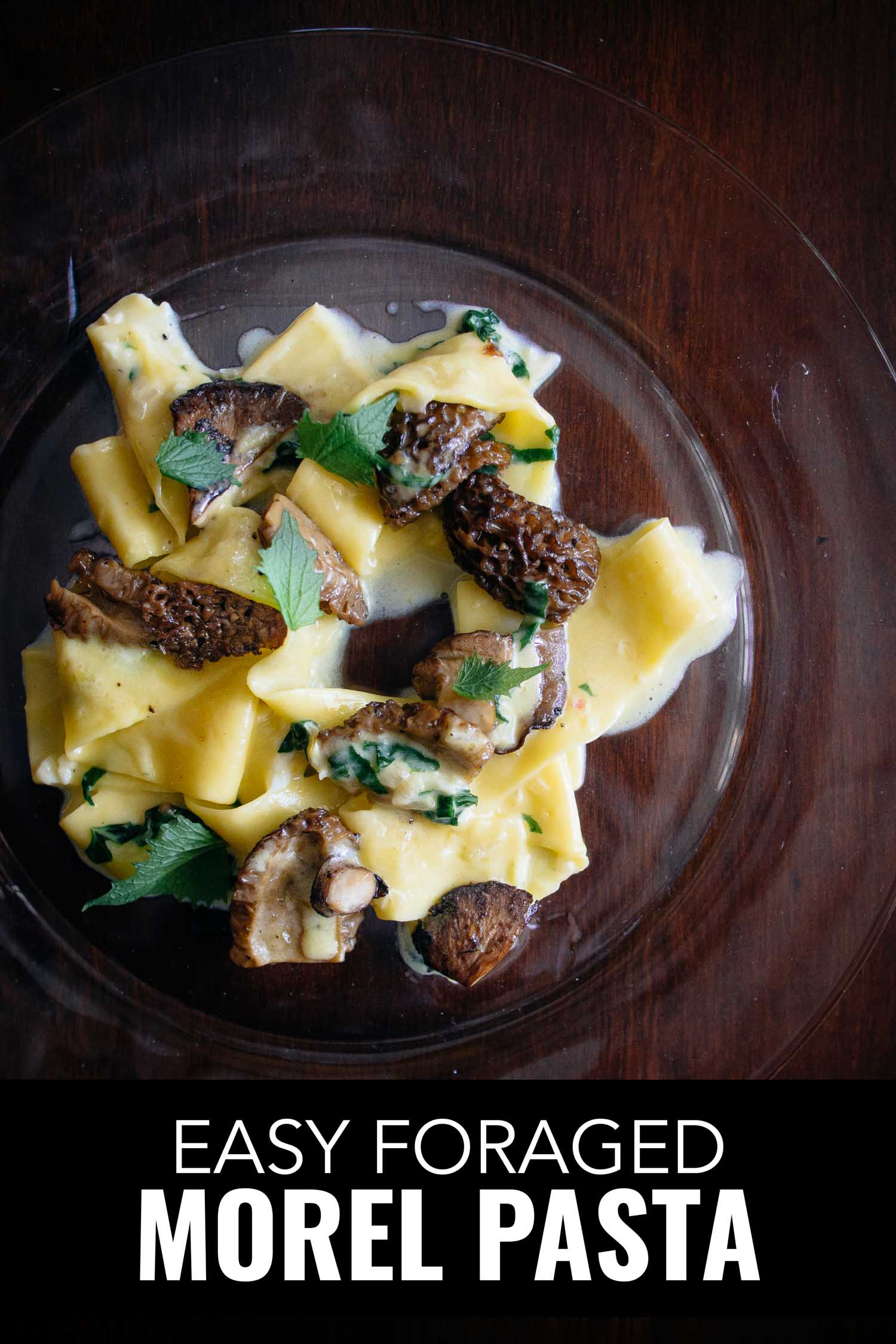 Fresh pappardelle pasta with morel mushrooms on a glass plate.