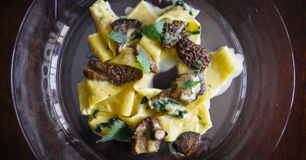 Easy morel pasta. We capped off the day foraging mushrooms in Grey County making this easy but decadent morel pasta recipe that only takes 10 minutes to make.