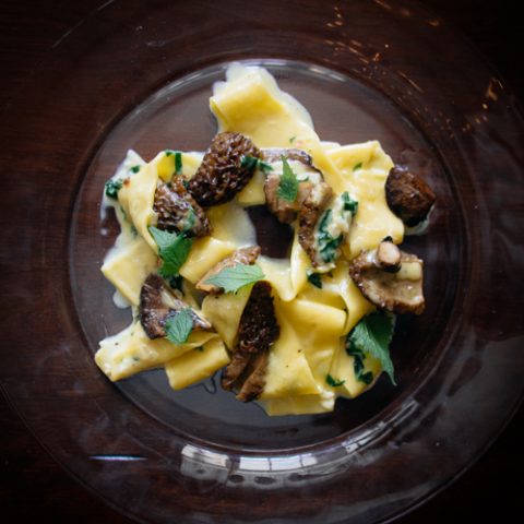 Fresh pappardelle pasta with morel mushrooms on a glass plate.