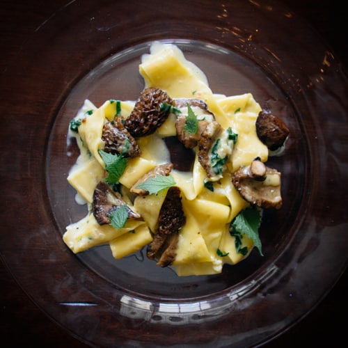 Easy Morel Pasta Wild Mushroom Foraging Bacon is Magic
