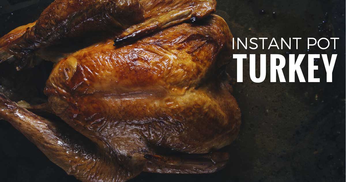 what size turkey fits in 6qt instant pot