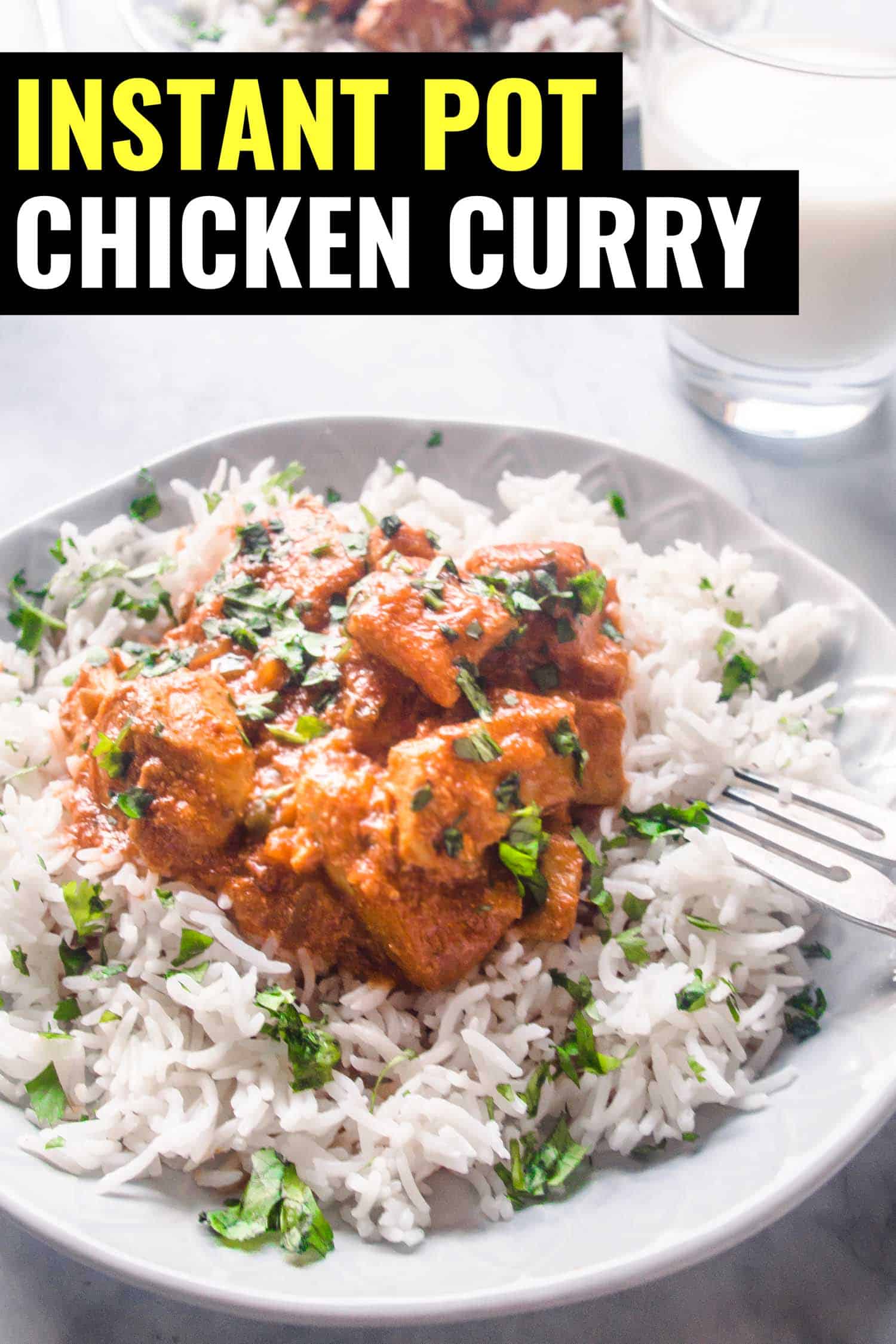 Chicken curry and rice on a white plate with a fork.