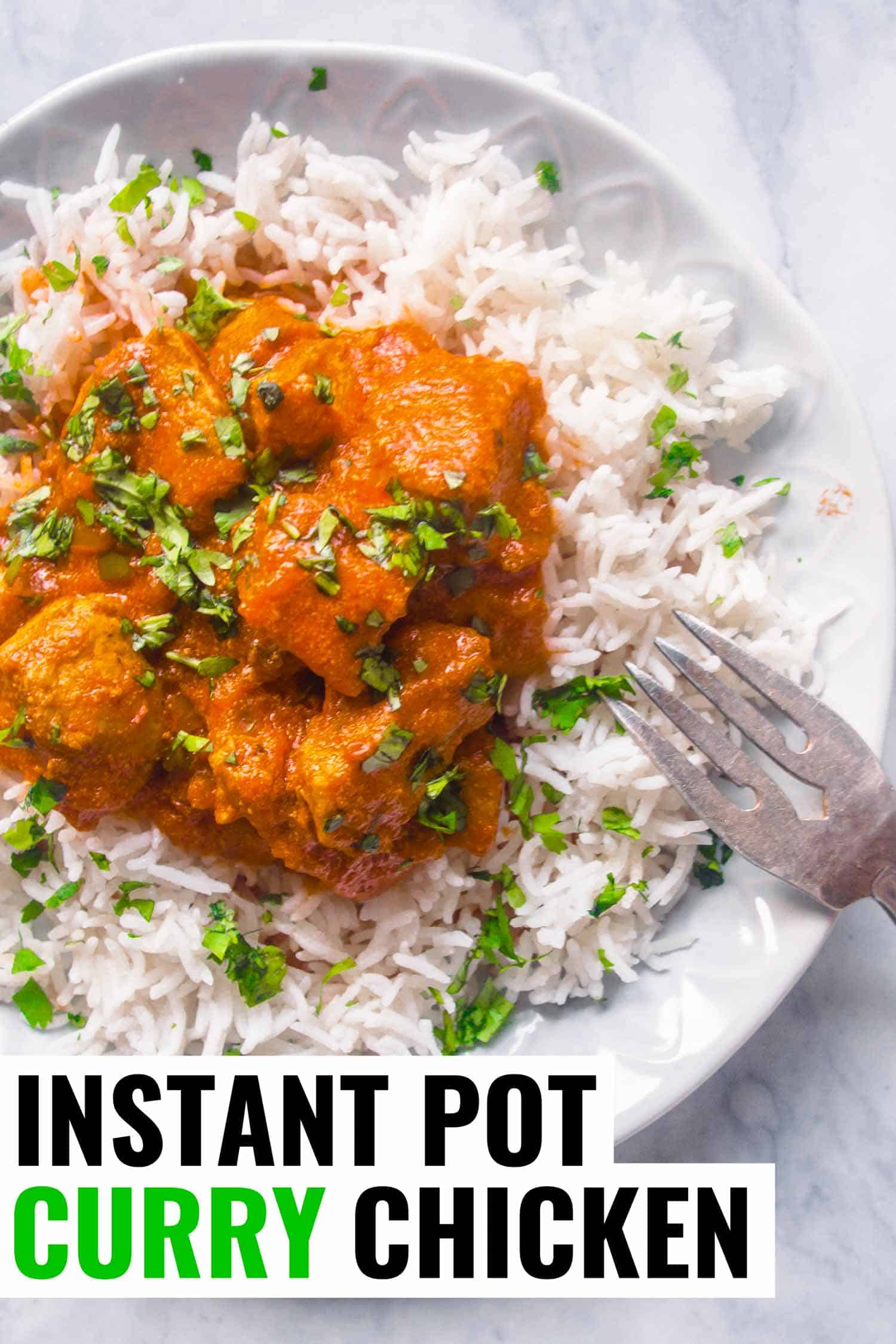 Chicken curry and rice on a white plate with a fork.