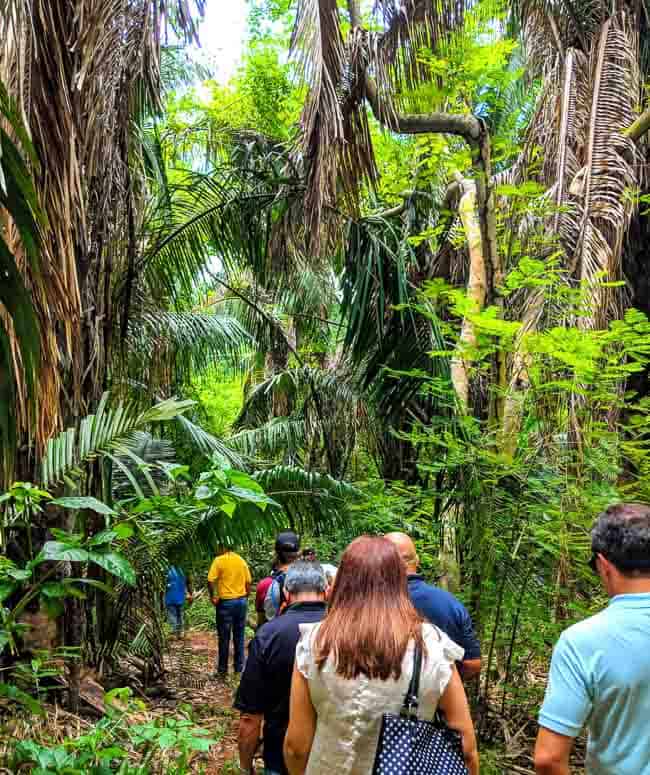 Colima in Mexico is one of the smallest and most underrated regions.