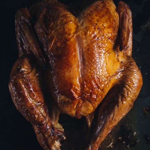 Instant Pot Turkey