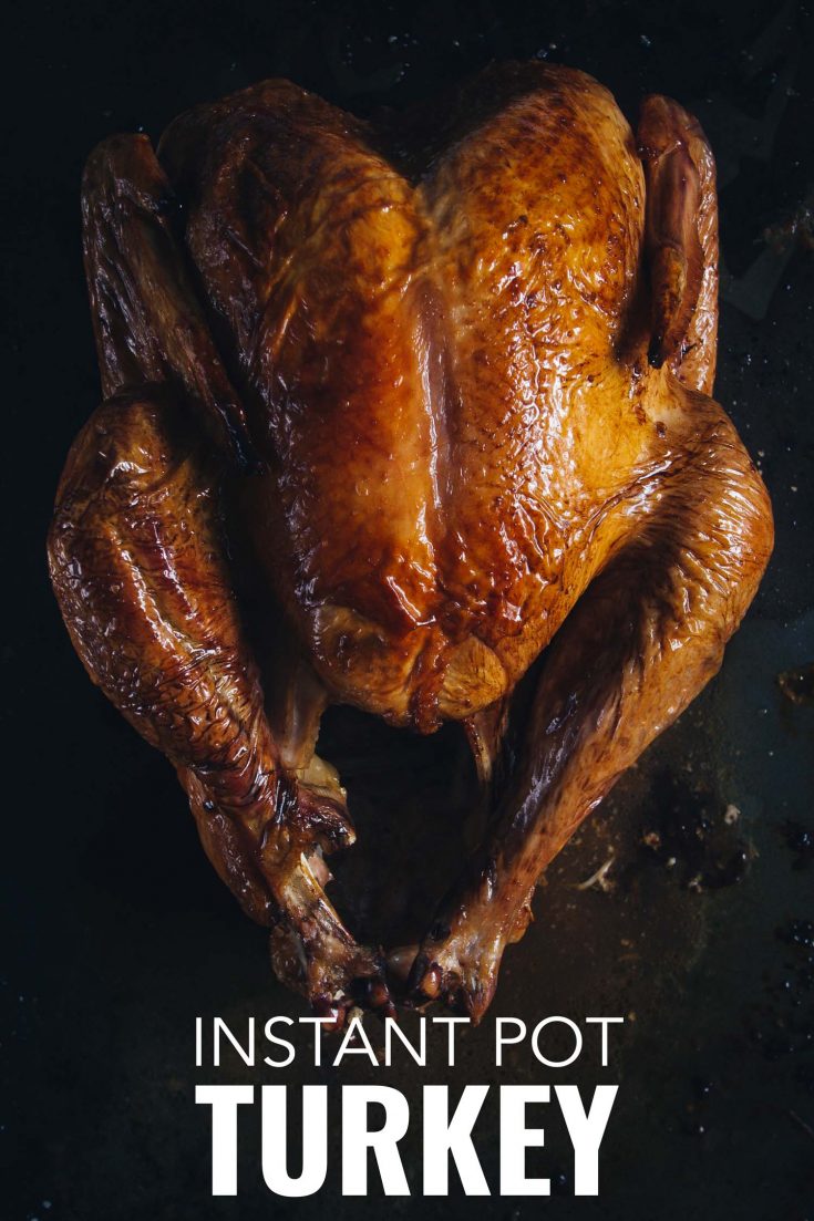 Instant Pot Whole Turkey with Crispy Skin - The Foodie Eats