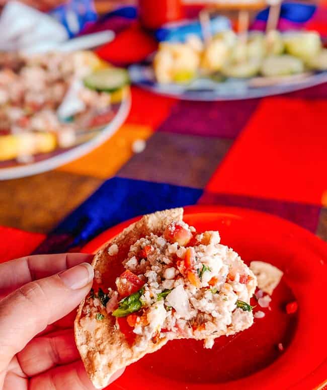 30 Things to Eat in Colima Mexico.