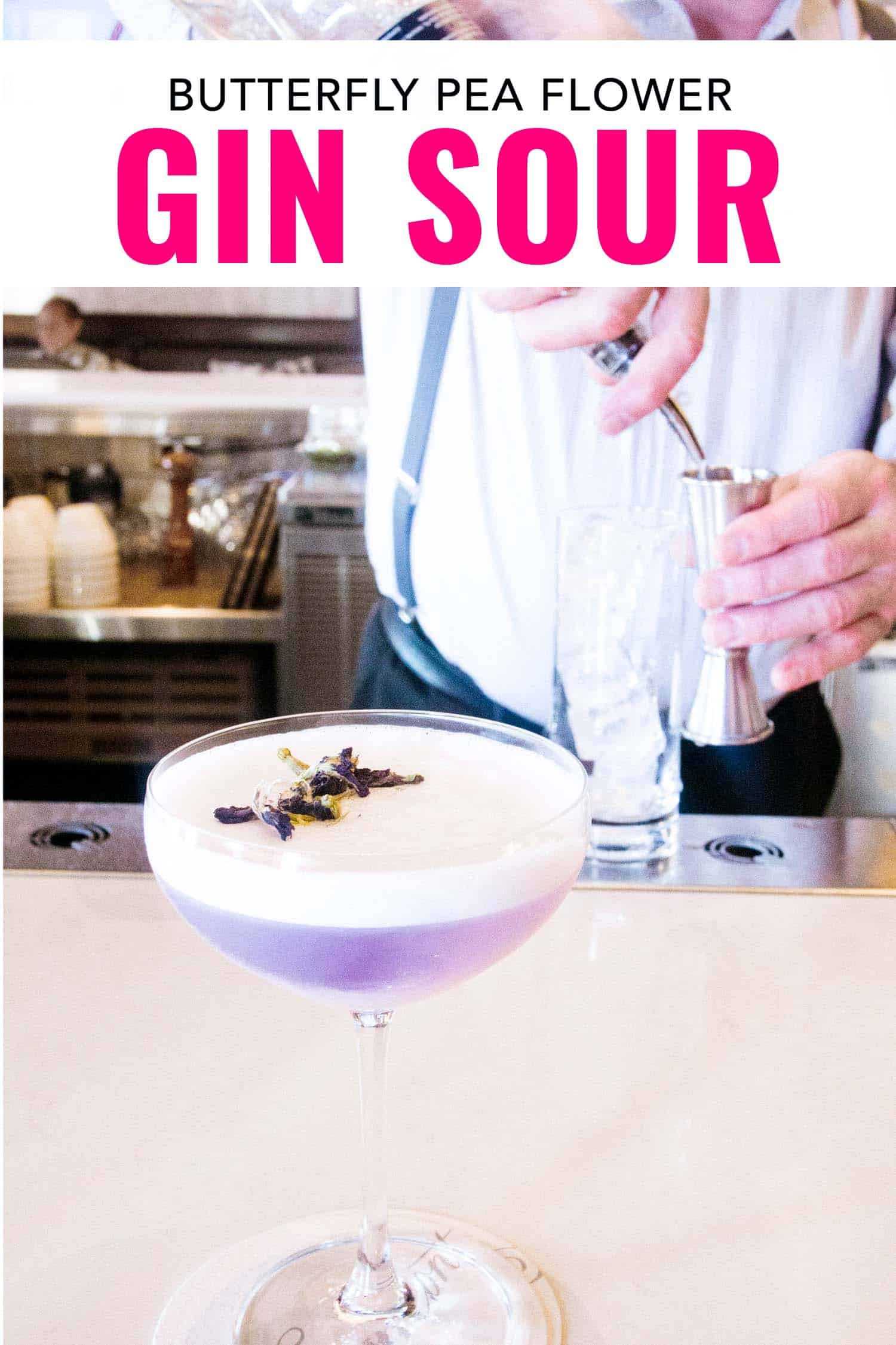 gin sour cocktail with butterfly pea flower on a bar