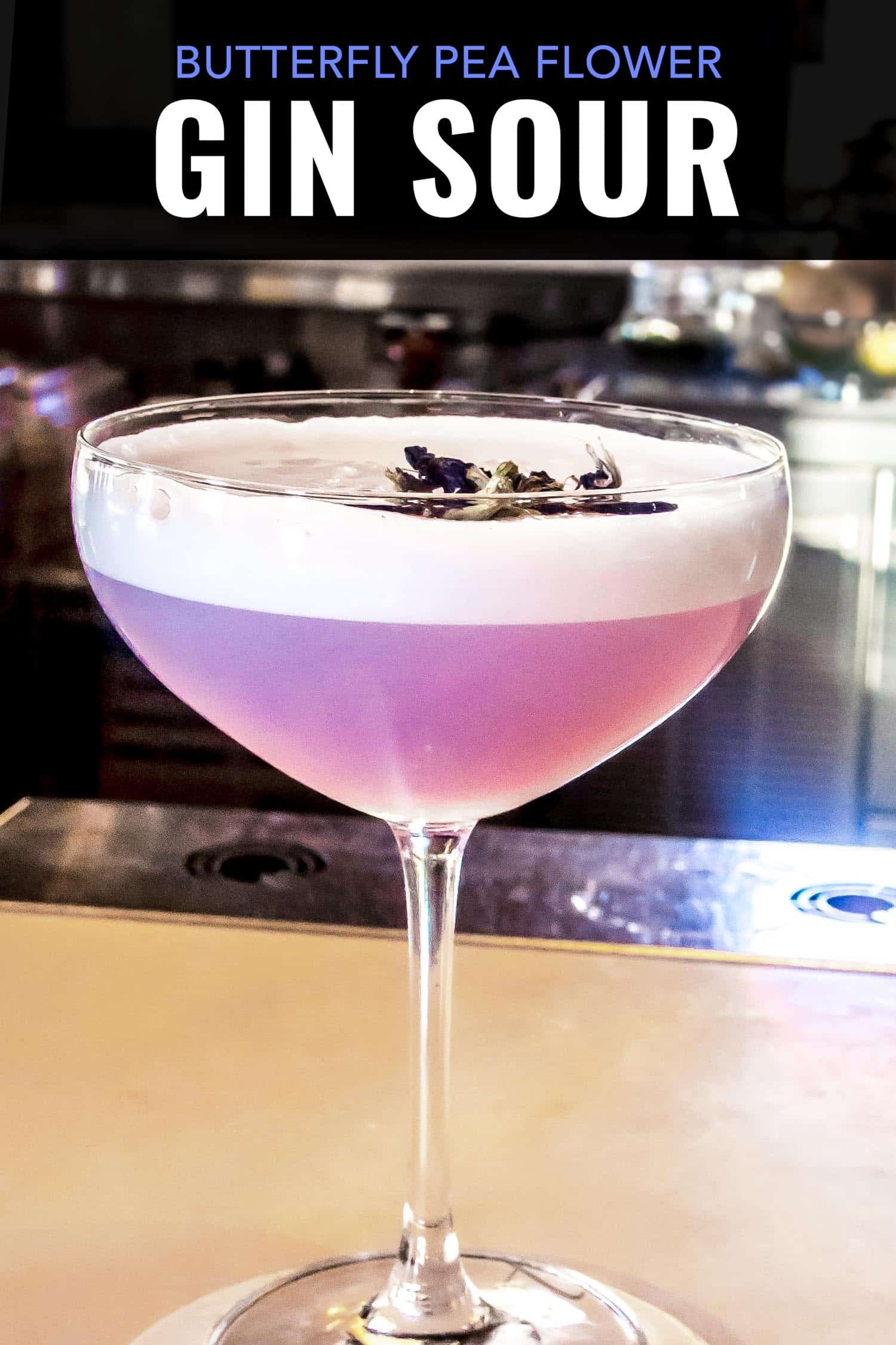 gin sour with butterfly pea flower at the Fairmont Empress hotel in Victoria, BC