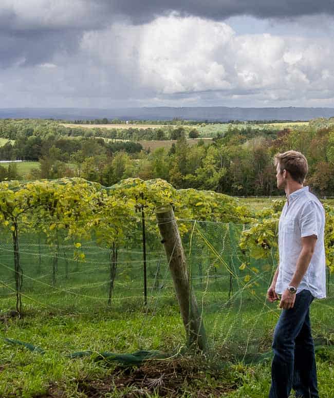 The Saints and Sinners Trail in Grey County features craft beer, wine and cider.