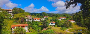 Las Terrazas Cuba hillside with white homes and terracotta rooftops in dense tropical greenery on a sunny day