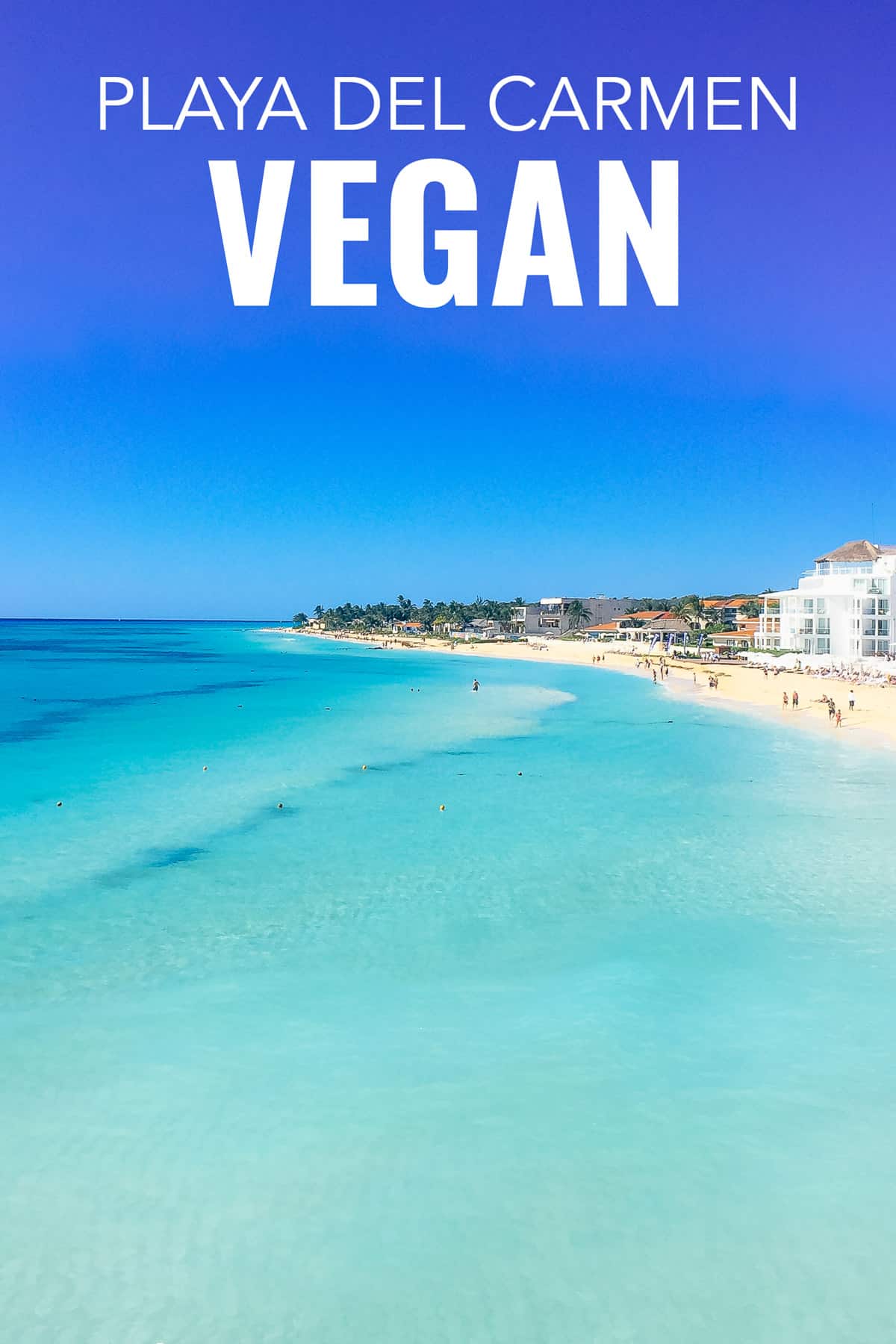 Vegan Playa del Carmen. The best plant-based restaurants in Playa del Carmen Mexico.