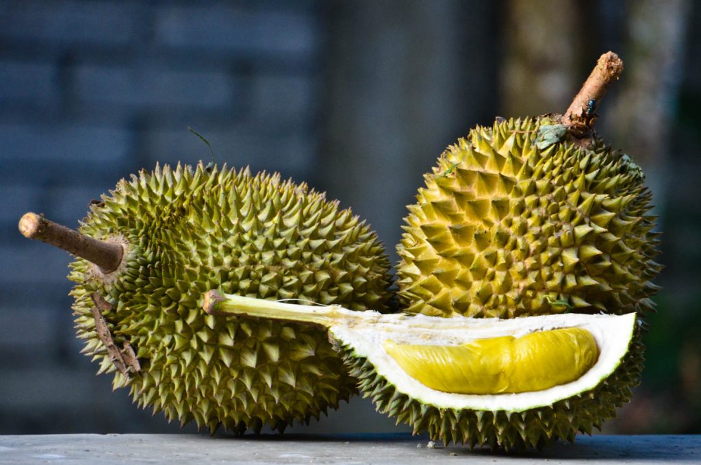 Durian is one the stinkiest exotic fruits and is original from Malaysia, Thailand and Indonesia