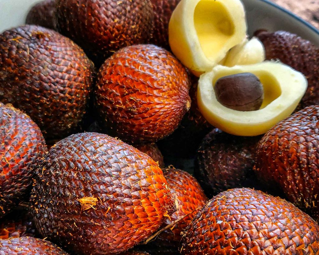Snakefruit is also known as salak and one of the exotic fruits native to Java and Sumatra but you can also find them in Bali, Lombok, Timor, Maluku, and Sulawesi.