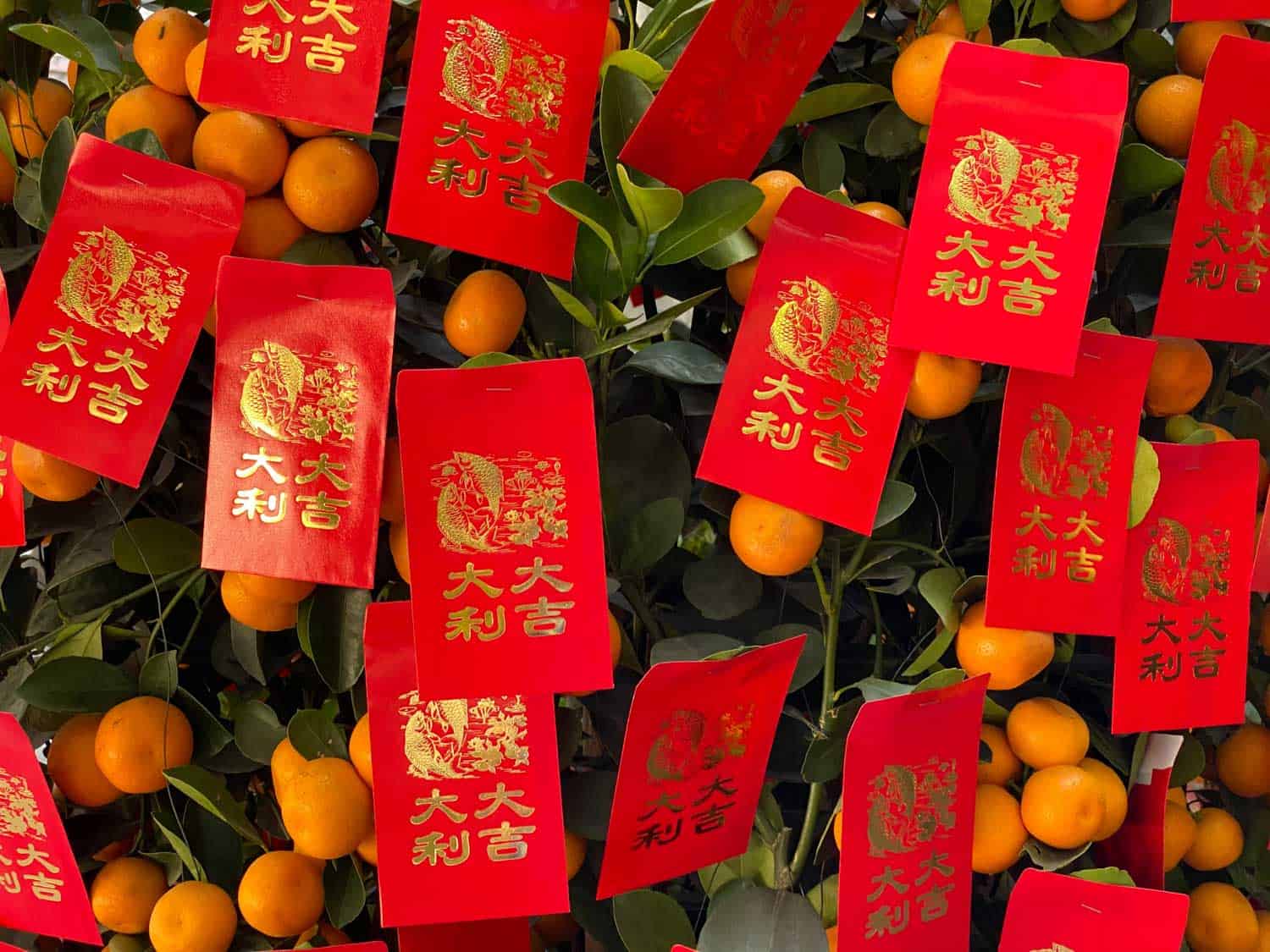 15 Chinese New Year Foods to Serve for Lunar New Year – PureWow