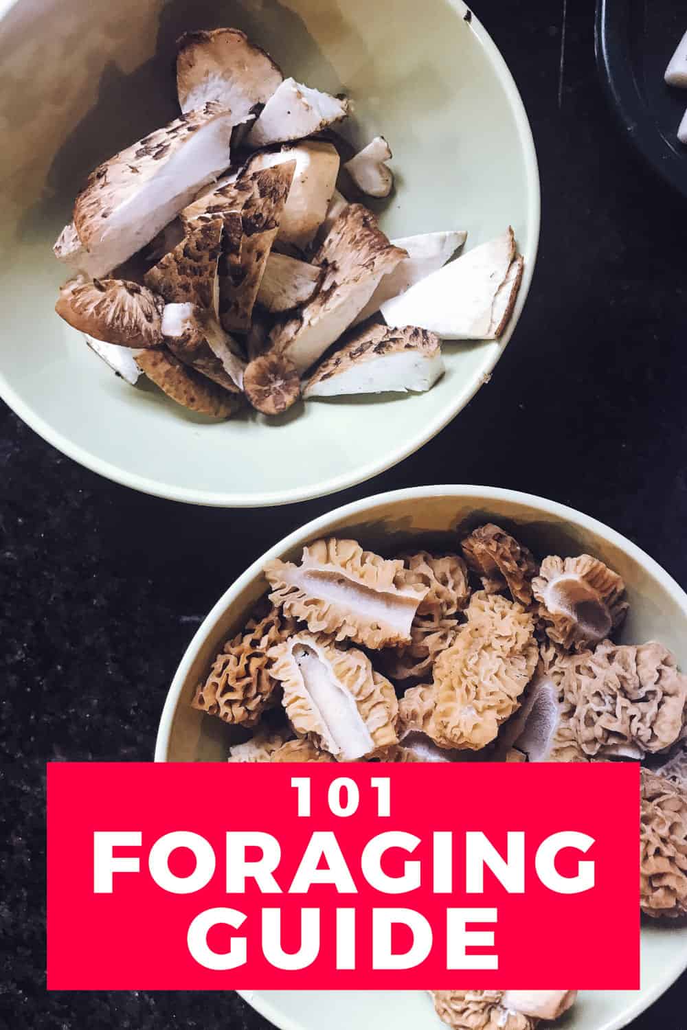 Foraged wild morel mushrooms in a bowl