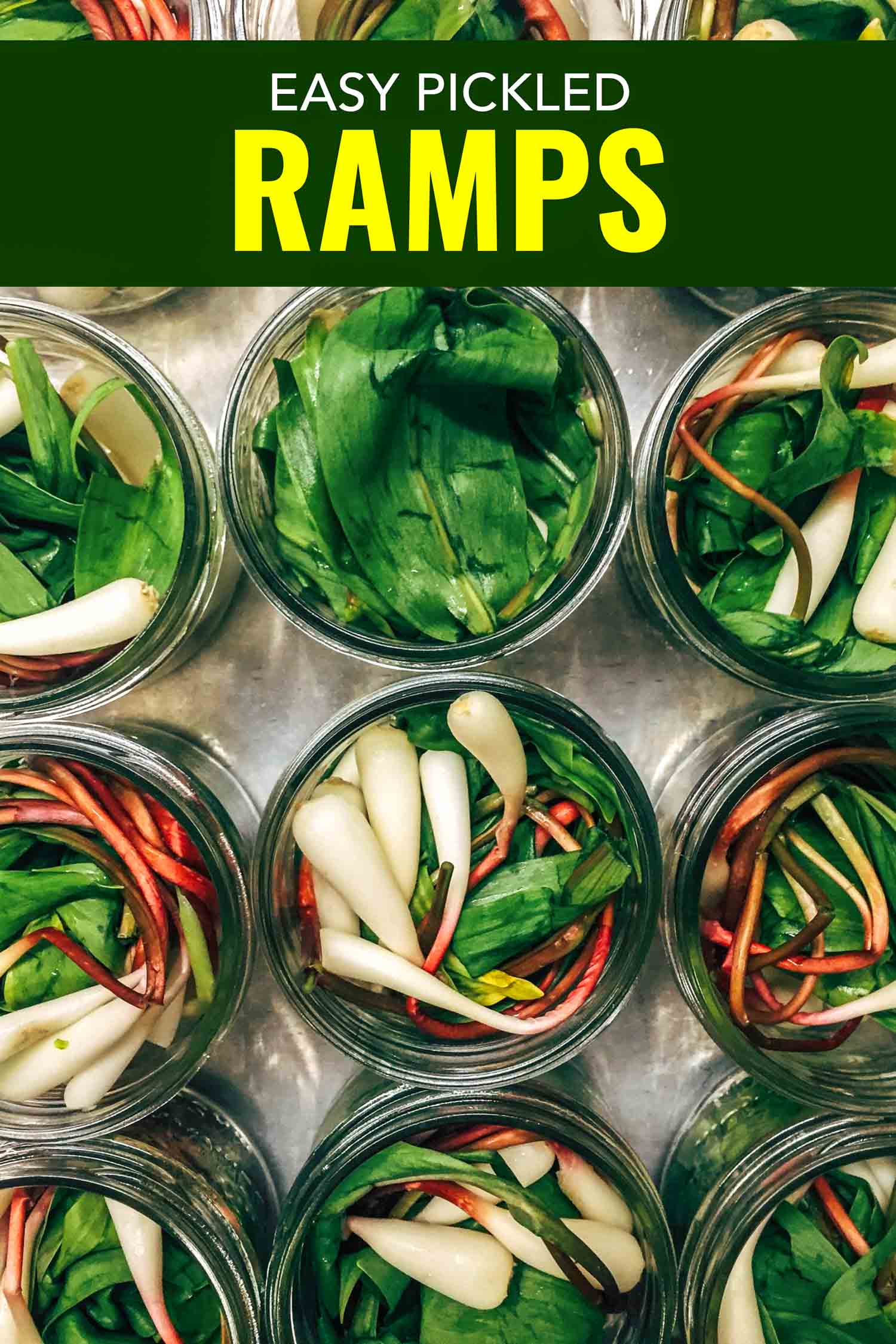 jars of ramps prepared for pickling