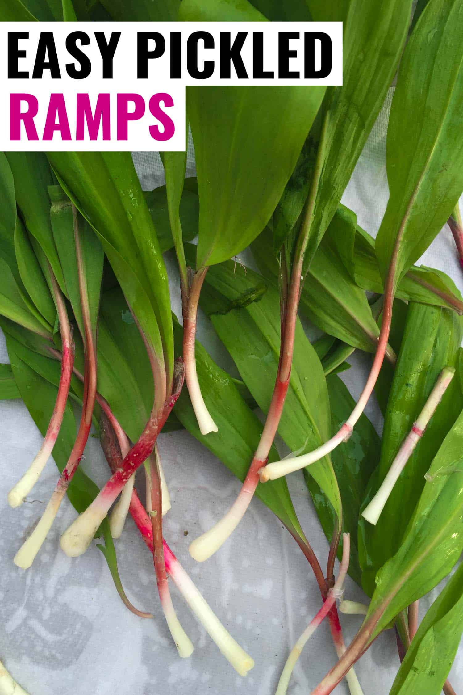 raw ramps on a table