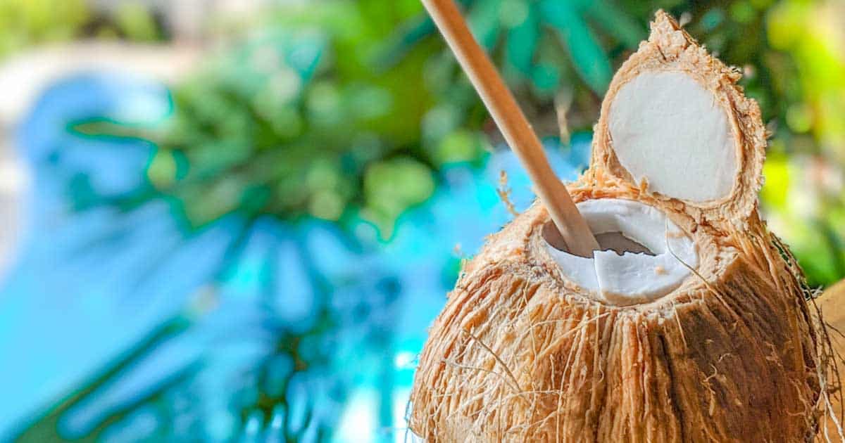 15 Costa Rican Drinks You Need to Know About Bacon is Magic